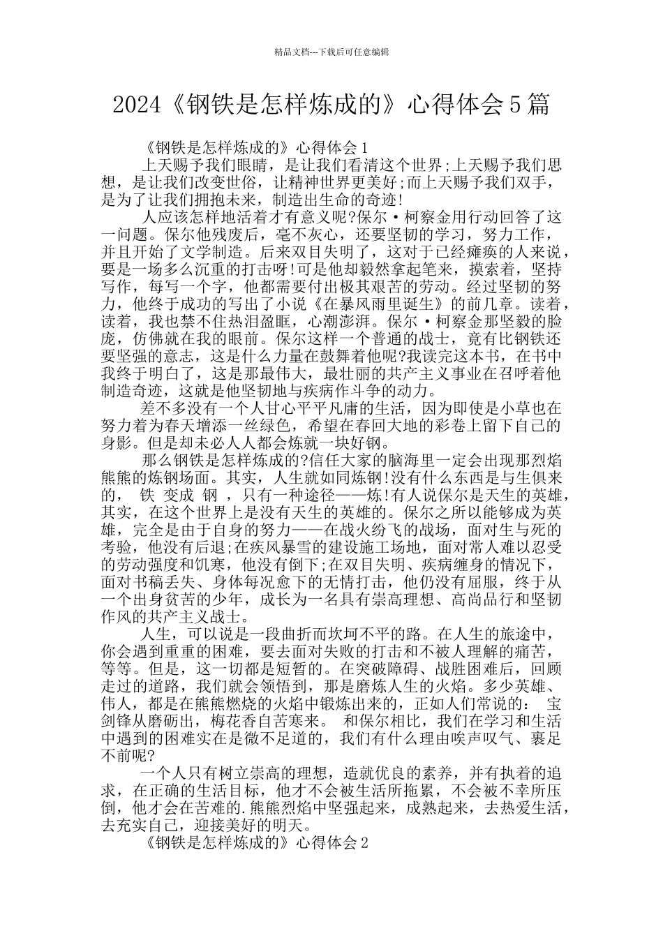 2024《钢铁是怎样炼成的》心得体会5篇_第1页