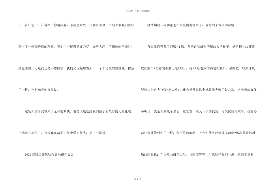 2024三年级那次玩得真高兴_第2页
