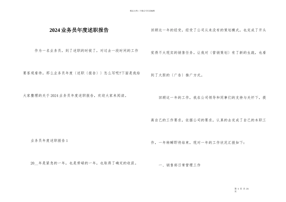 2024业务员年度述职报告_第1页