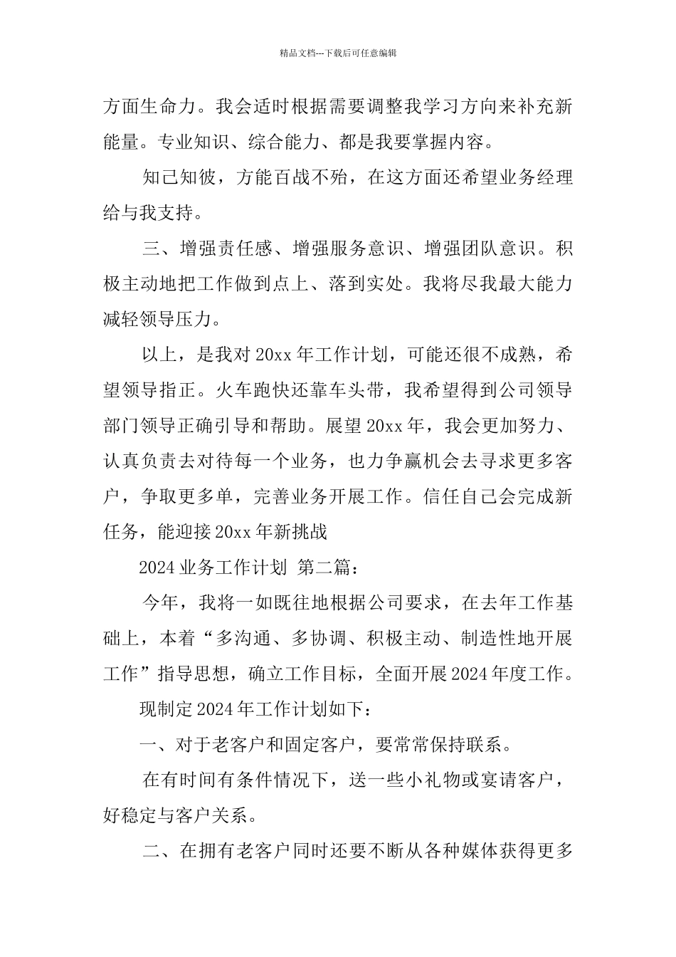 2024业务工作计划_第3页