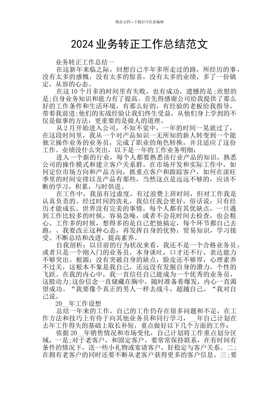 2024业务转正工作总结范文_第1页