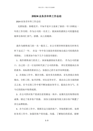 2024业务员年终工作总结-1