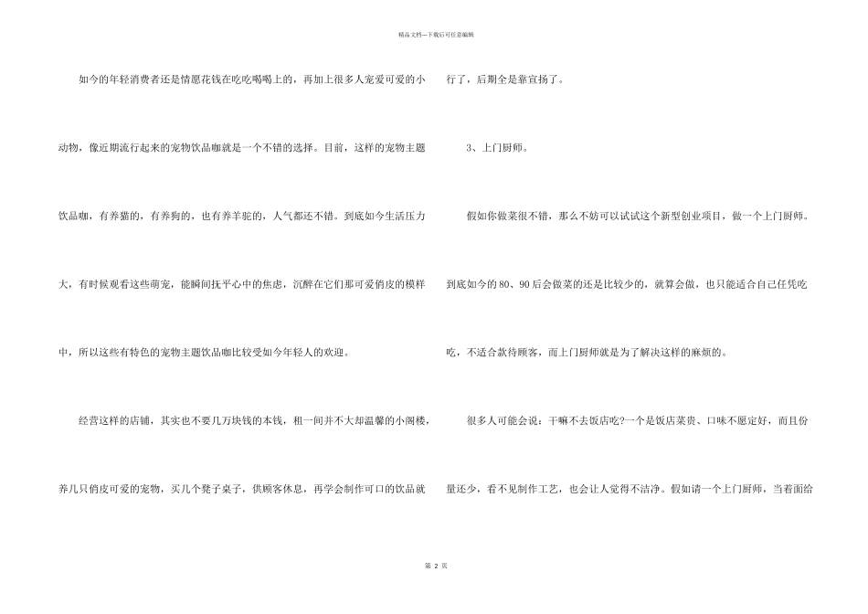 2024个人创业项目_第2页