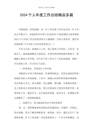 2024个人年度工作总结精品多篇