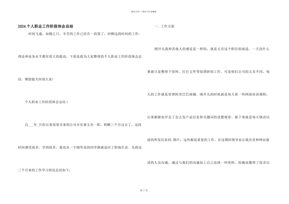 2024个人职业工作阶段体会总结_第1页