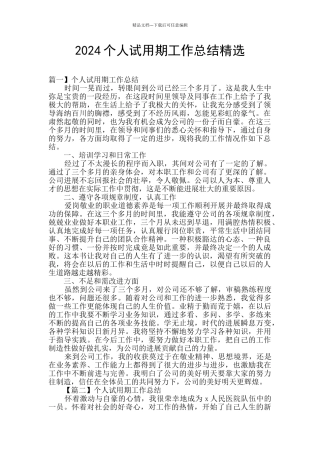2024个人试用期工作总结精选