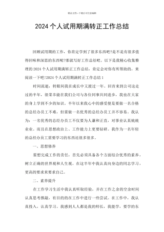 2024个人试用期满转正工作总结