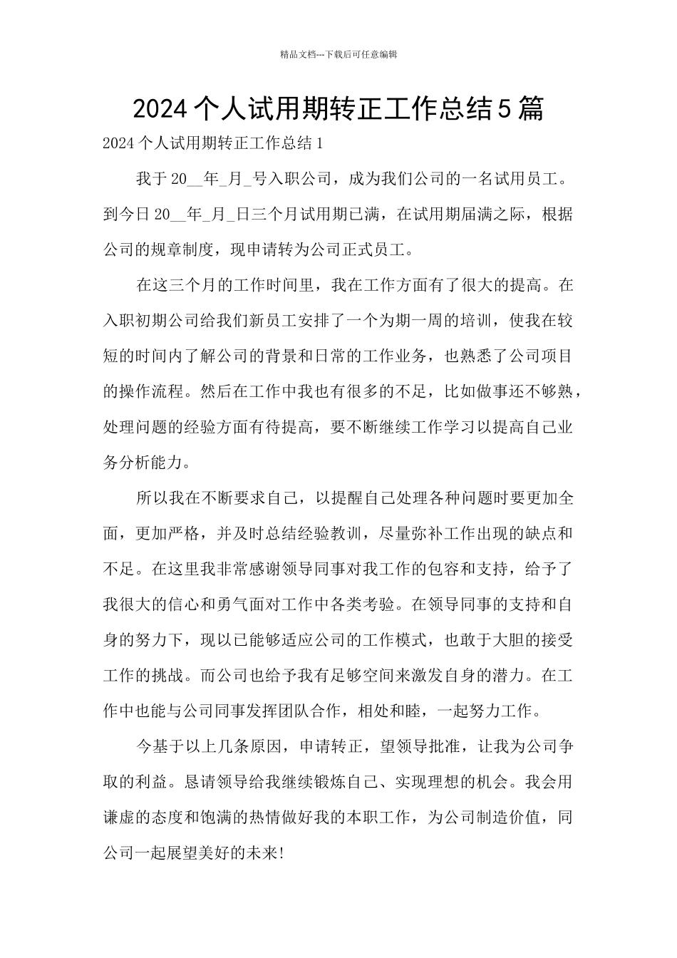 2024个人试用期转正工作总结5篇_第1页