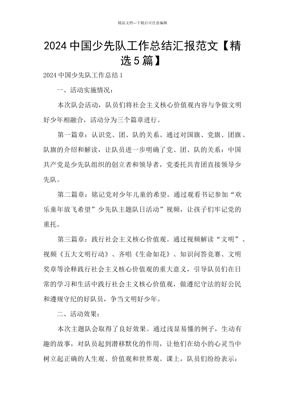 2024中国少先队工作总结汇报范文_第1页