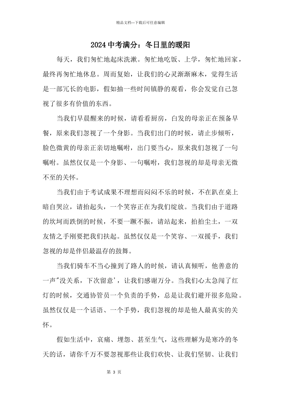 2024中考满分：冬日里的暖阳_第1页
