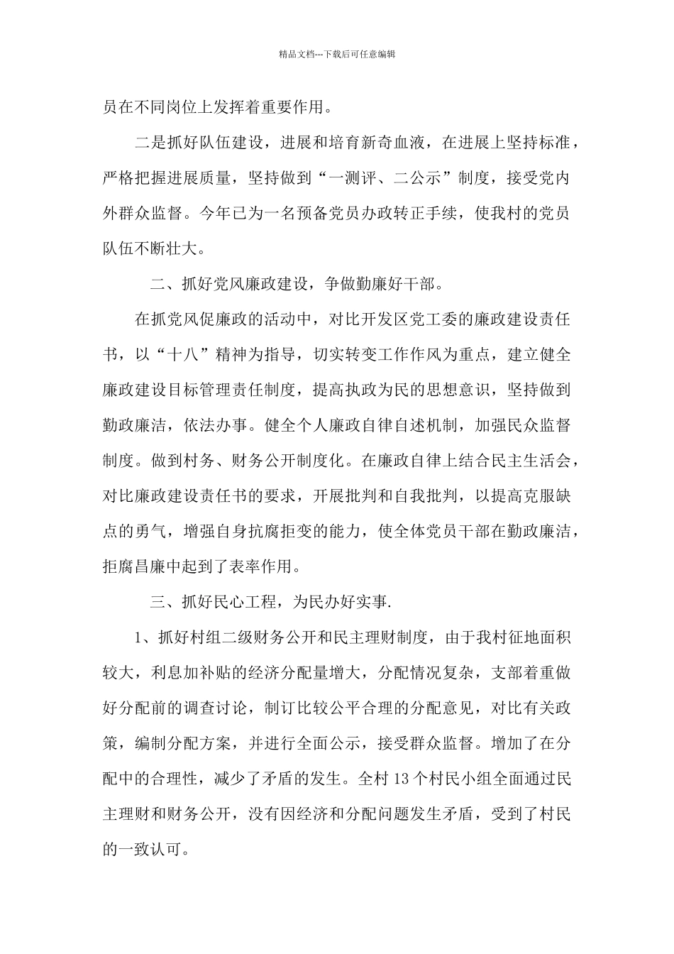 2024乡村党支部书记工作总结_第2页