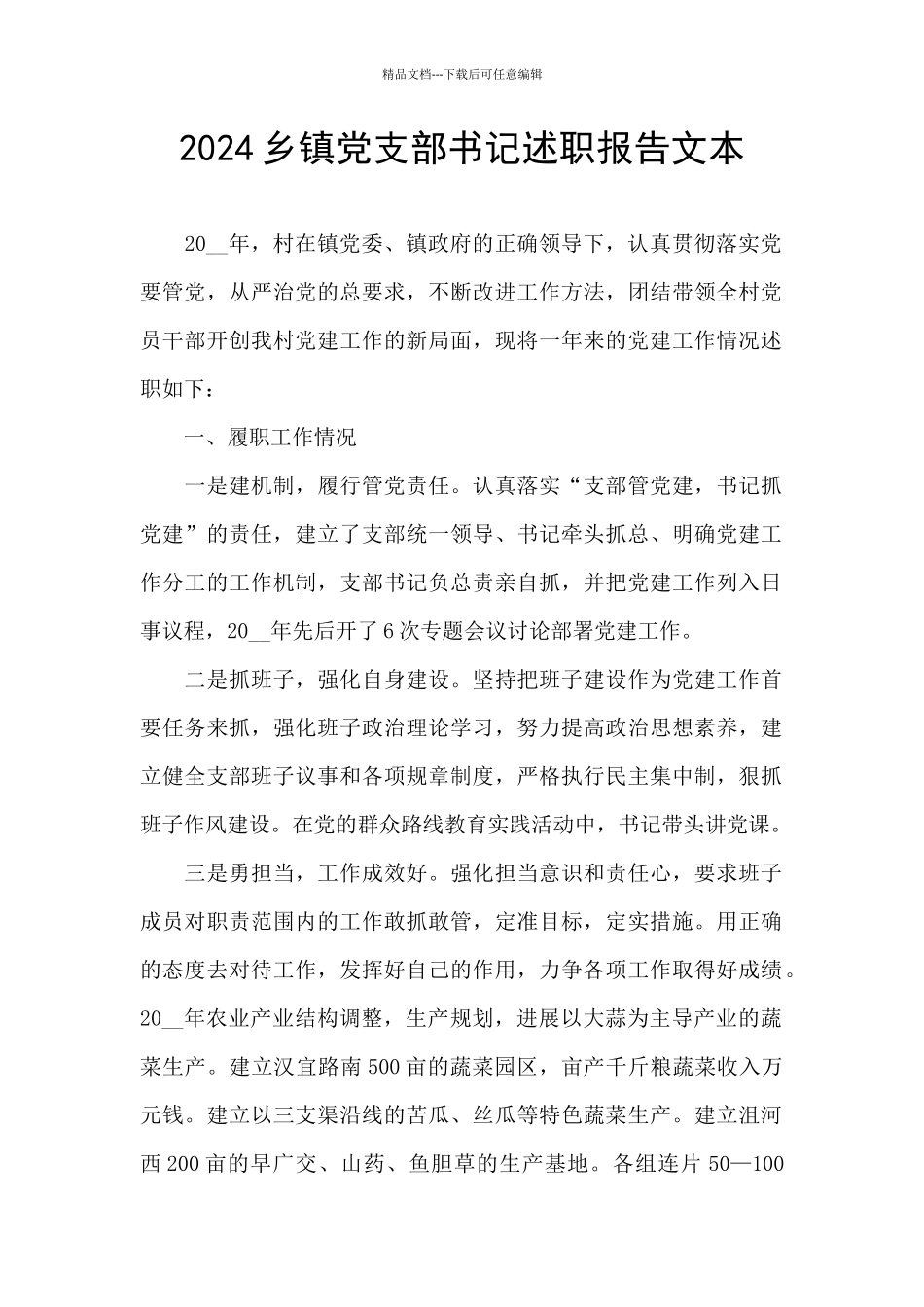 2024乡镇党支部书记述职报告文本_第1页