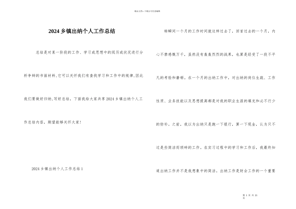 2024乡镇出纳个人工作总结_第1页