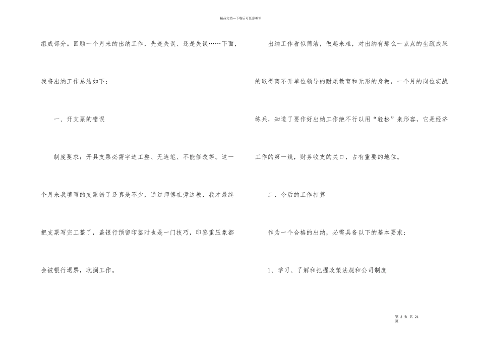 2024乡镇出纳个人工作总结_第2页