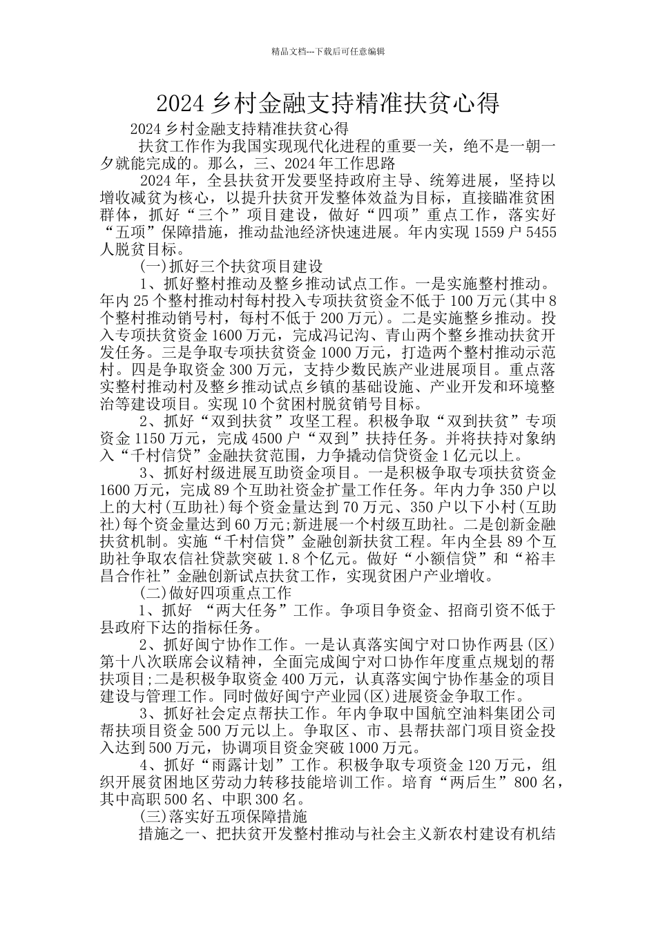 2024乡村金融支持精准扶贫心得_第1页