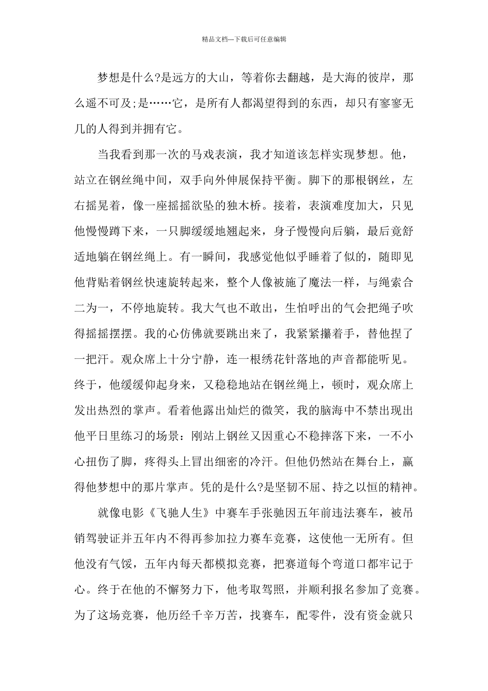 2024争当奋进新时代的追梦人主题征文精选共共五篇_第3页