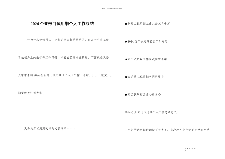 2024企业部门试用期个人工作总结_第1页