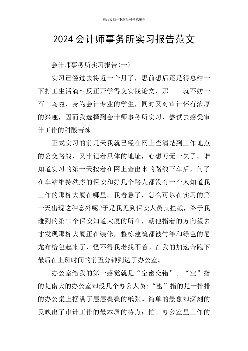 2024会计师事务所实习报告范文_第1页
