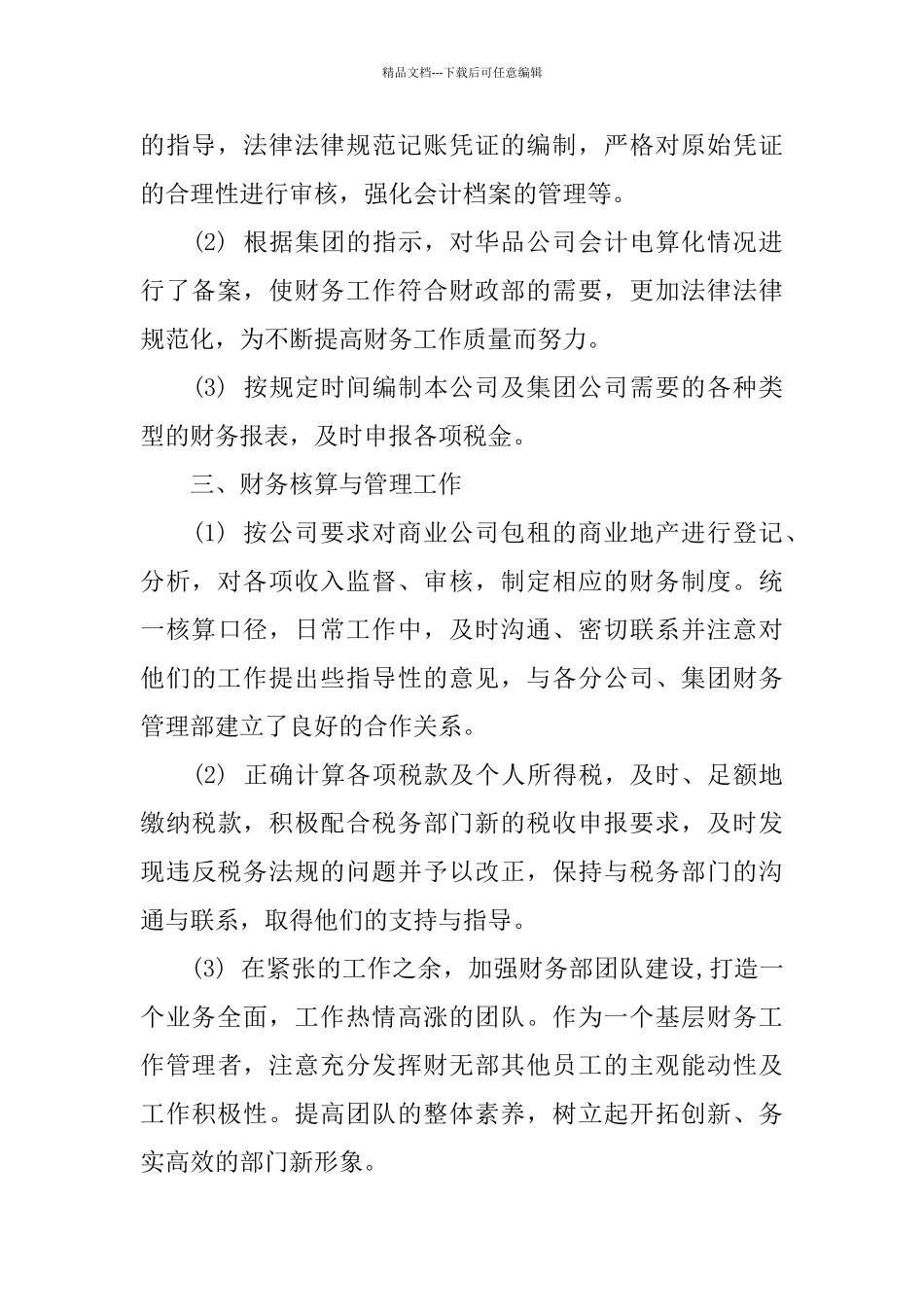 2024会计试用期工作总结4篇_第2页