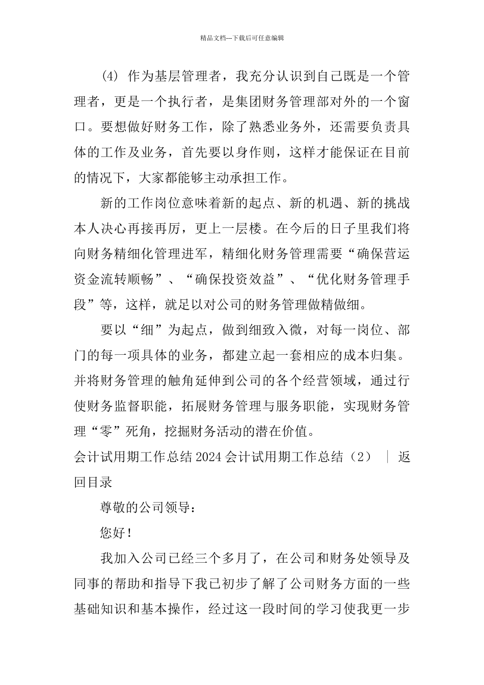 2024会计试用期工作总结4篇_第3页