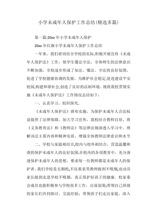 小学未成年人保护工作总结