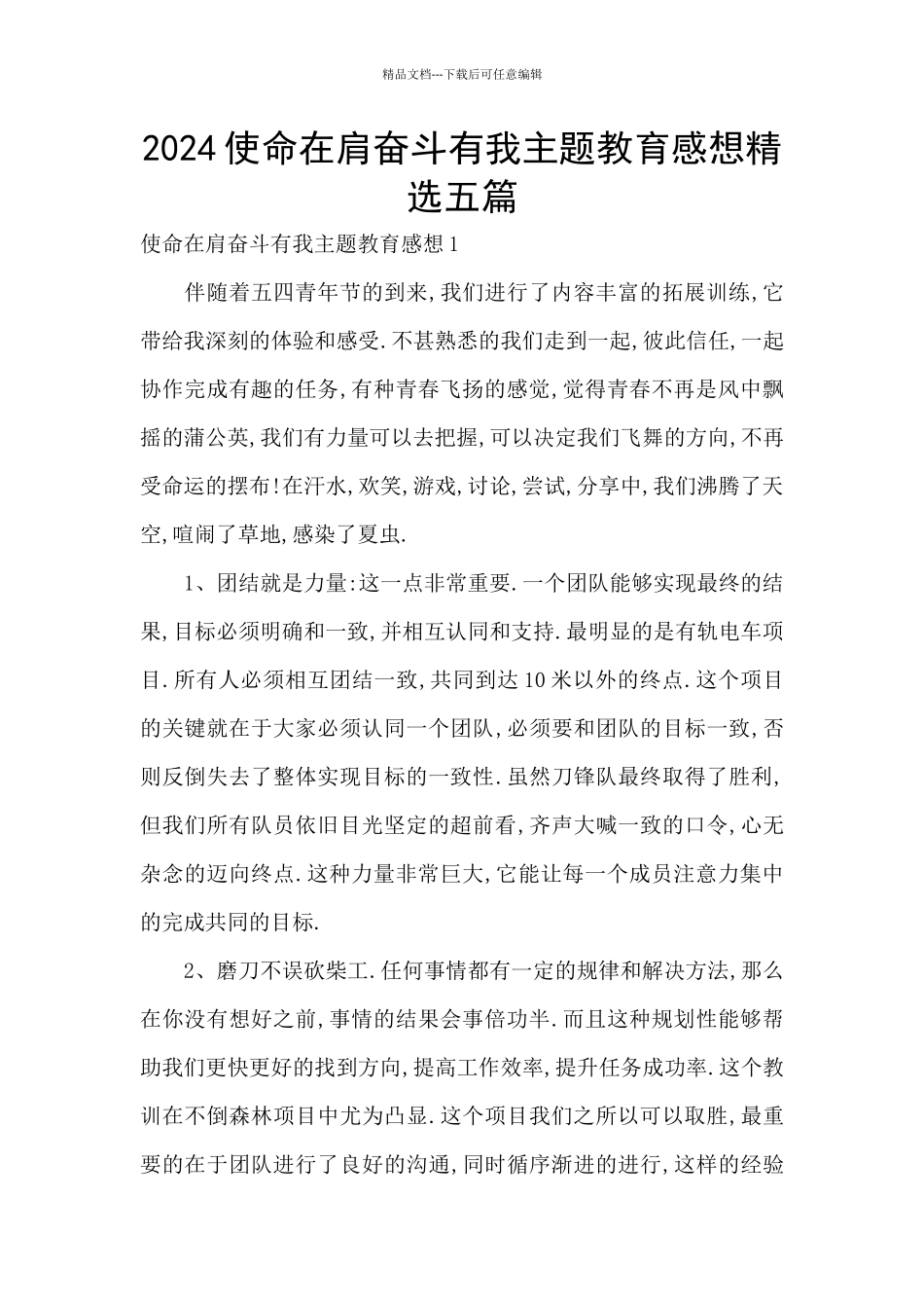 2024使命在肩奋斗有我主题教育感想精选五篇_第1页
