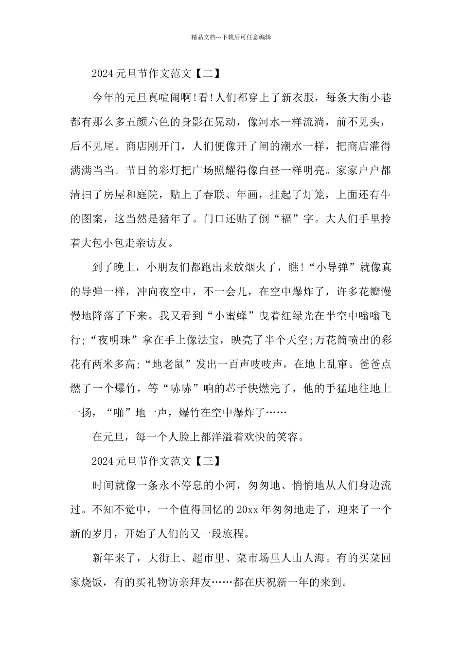 2024元旦节作文范文_第2页