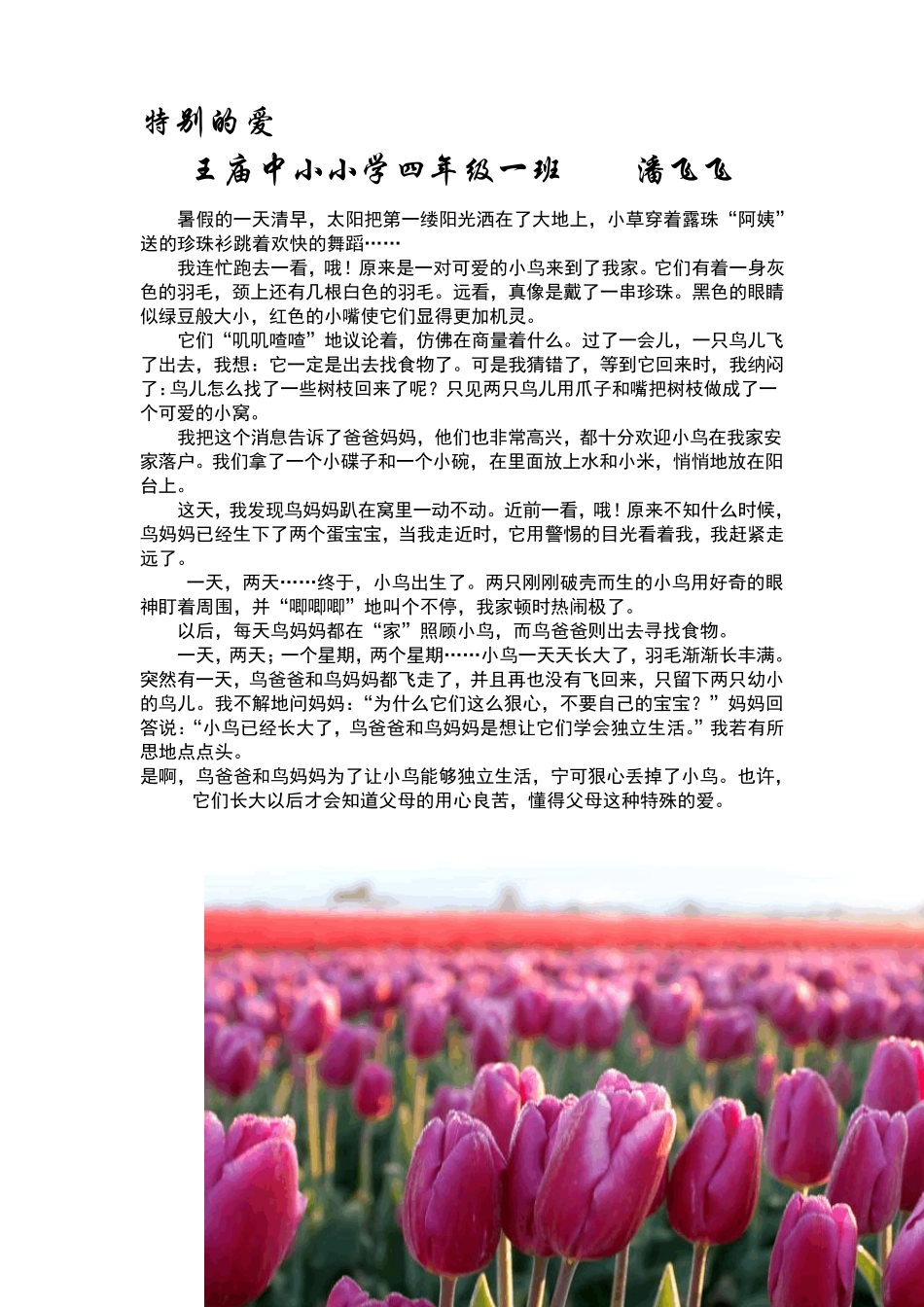 小学生优秀作文选30篇_第3页