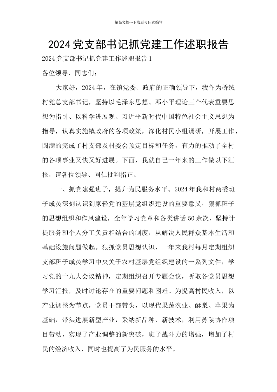 2024党支部书记抓党建工作述职报告_第1页