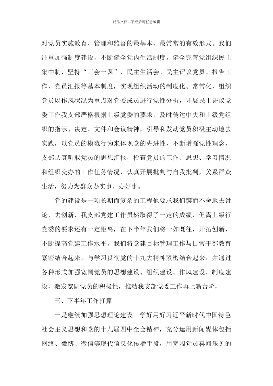 2024党建工作汇报材料_第3页