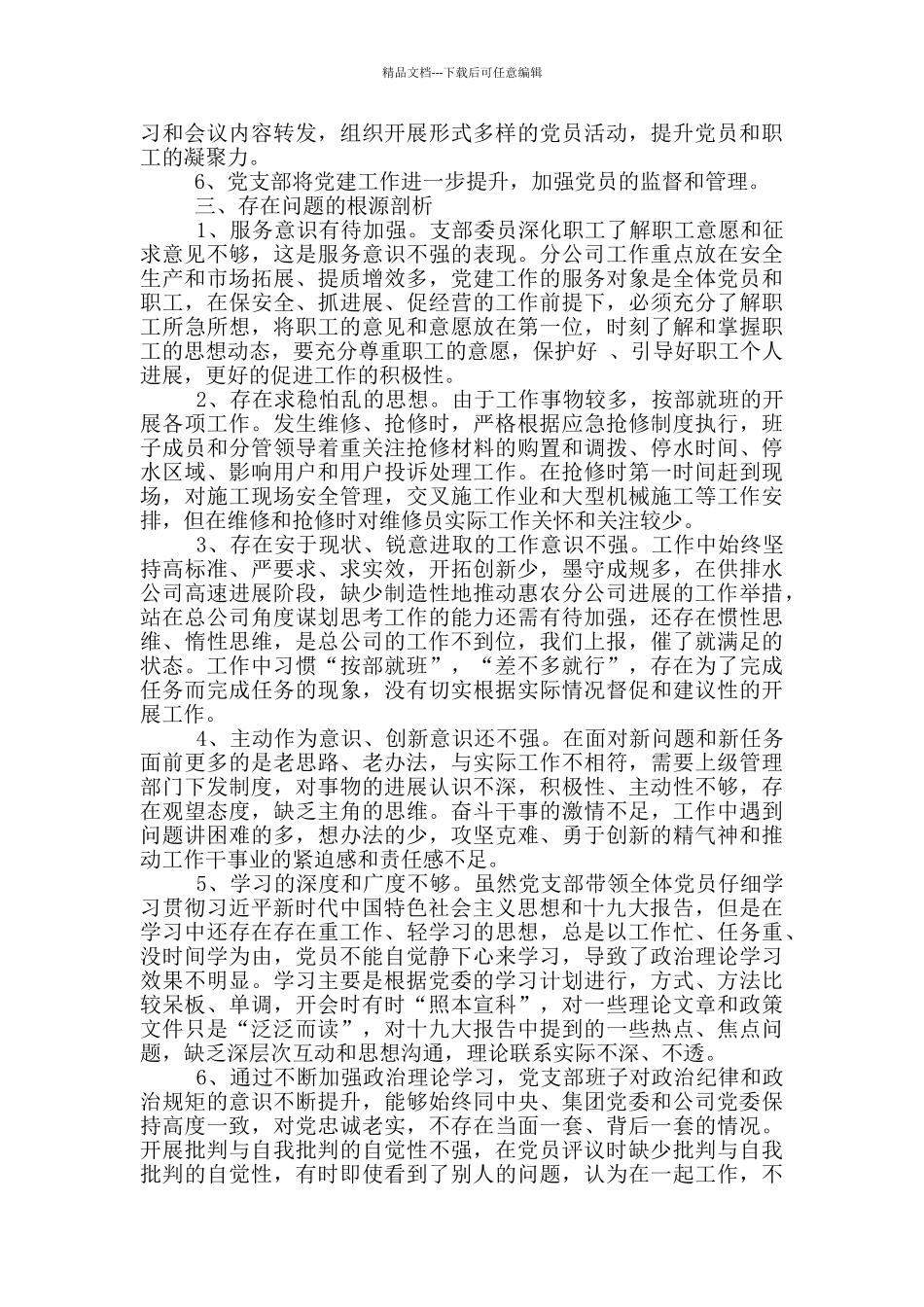 2024党支部对照检查材料_第2页