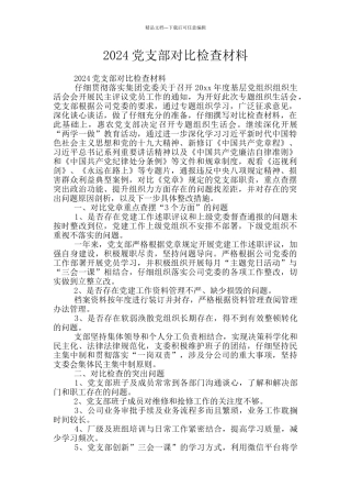 2024党支部对照检查材料