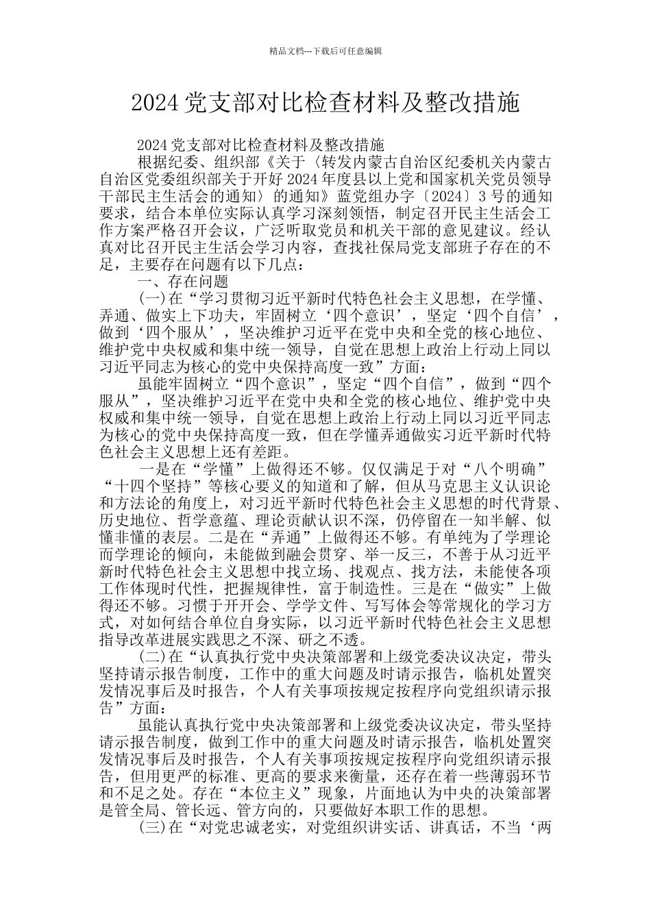 2024党支部对照检查材料及整改措施_第1页