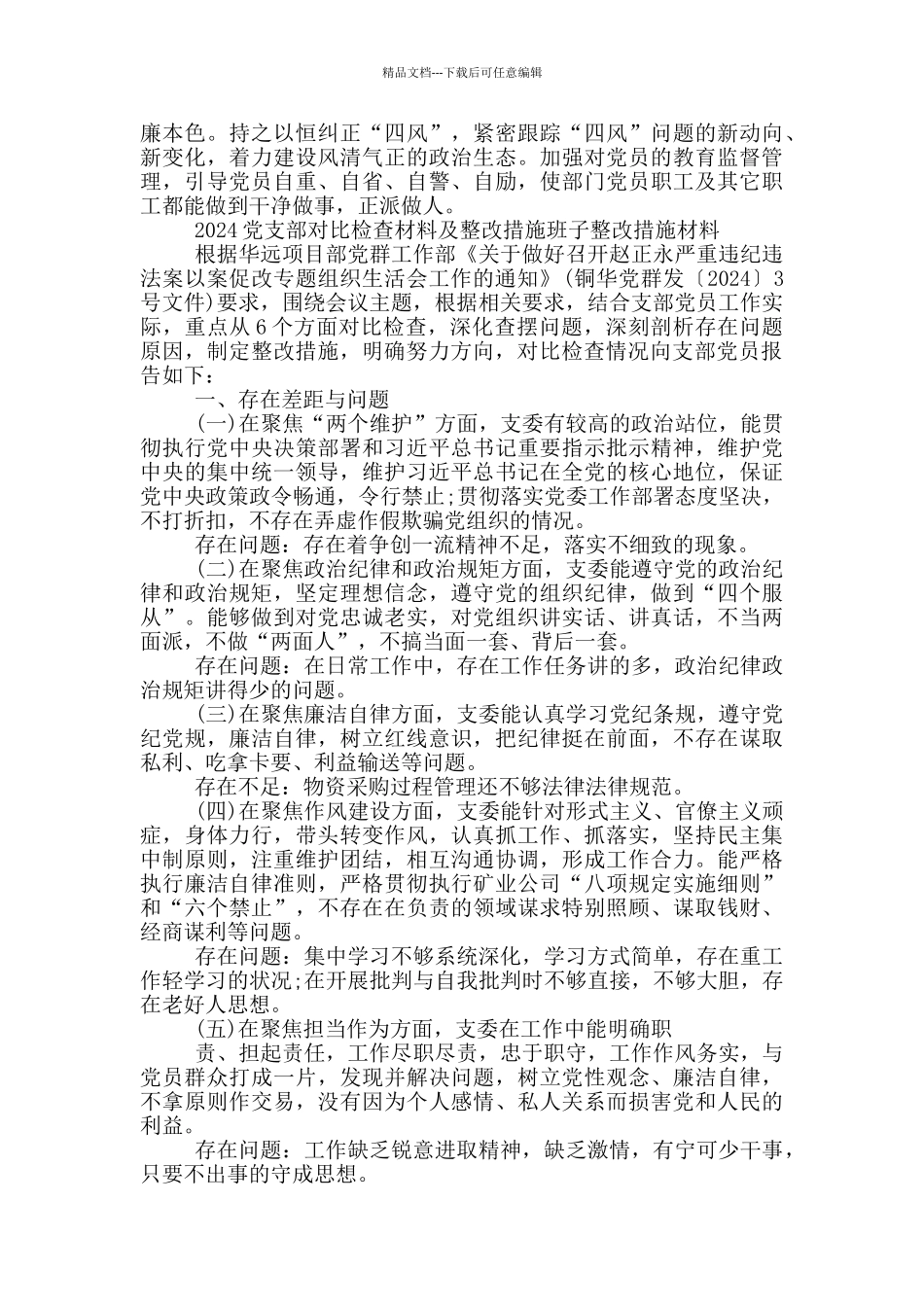 2024党支部对照检查材料及整改措施班子整改措施材料_第3页