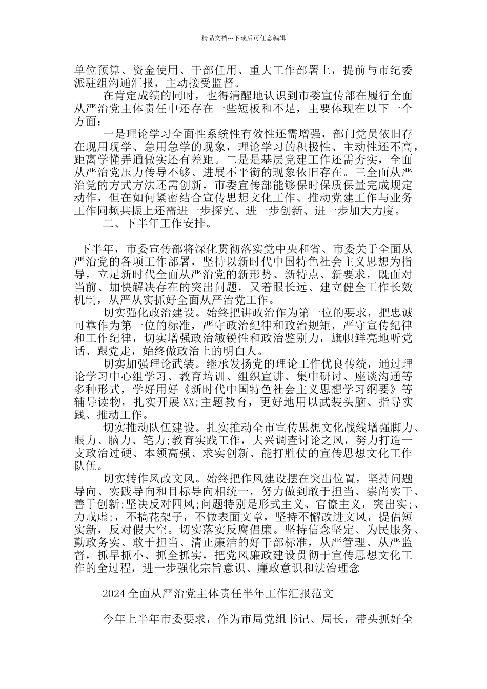 2024全面从严治党主体责任半年工作汇报范文_第3页