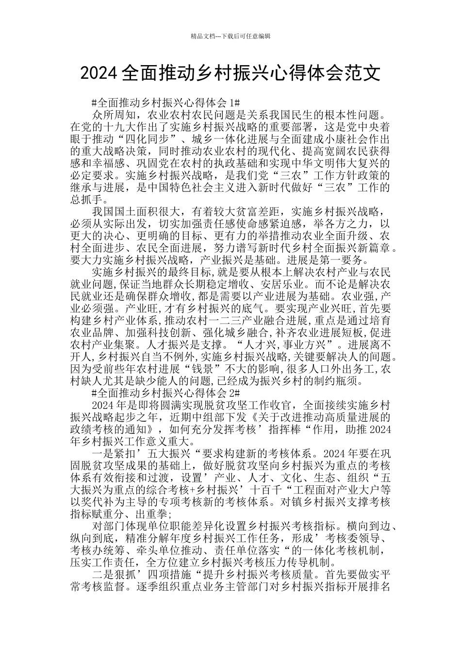 2024全面推进乡村振兴心得体会范文_第1页