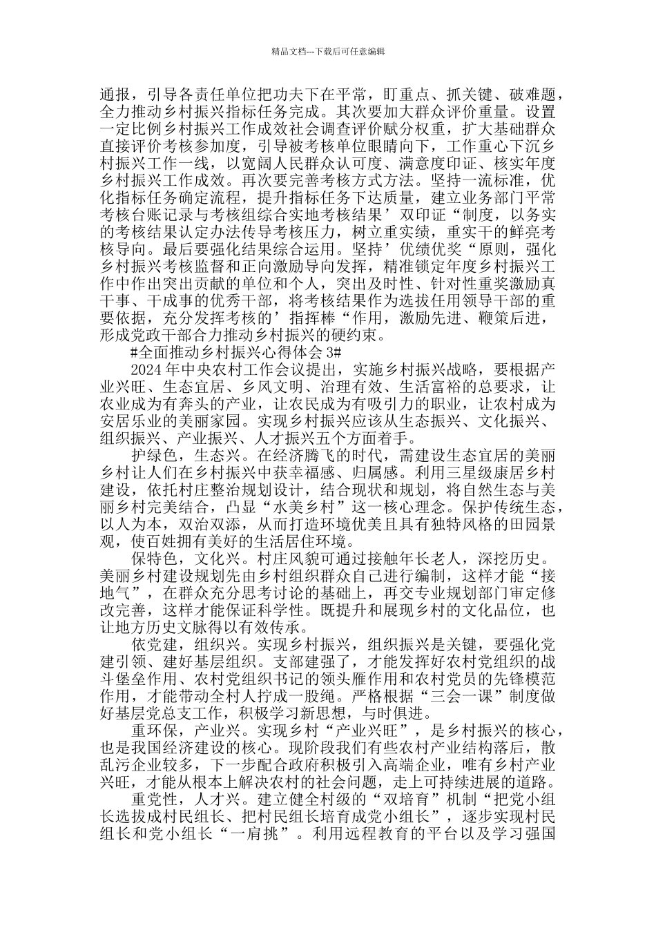 2024全面推进乡村振兴心得体会范文_第2页