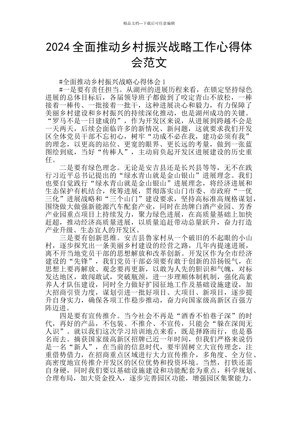 2024全面推进乡村振兴战略工作心得体会范文_第1页