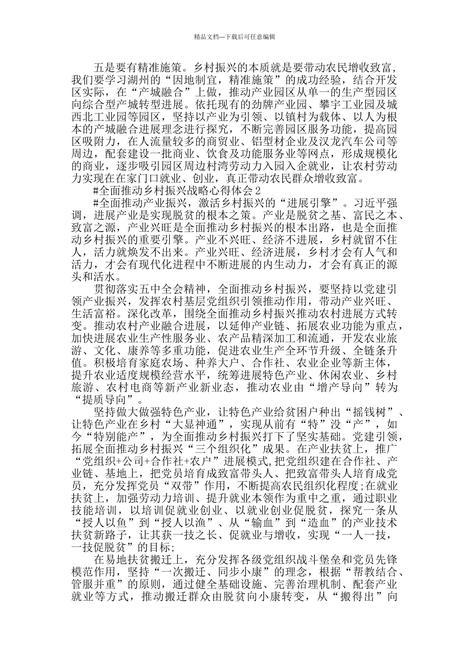 2024全面推进乡村振兴战略工作心得体会范文_第2页