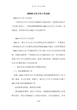 2024公共卫生工作总结