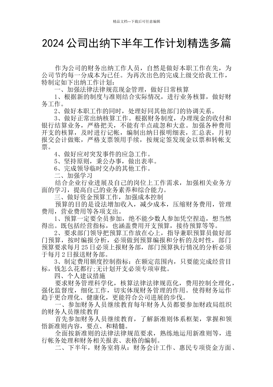 2024公司出纳下半年工作计划精选多篇_第1页
