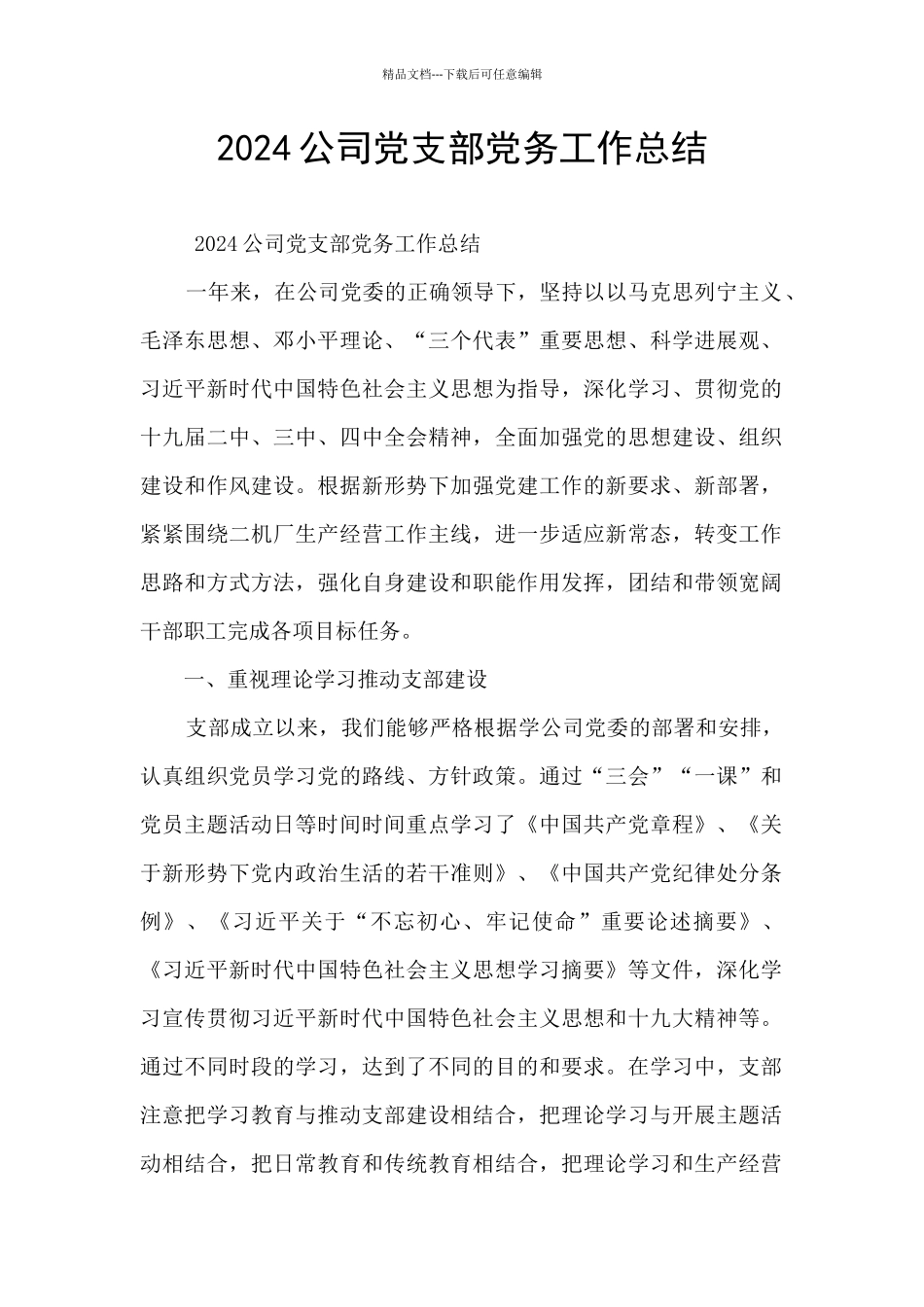 2024公司党支部党务工作总结_第1页