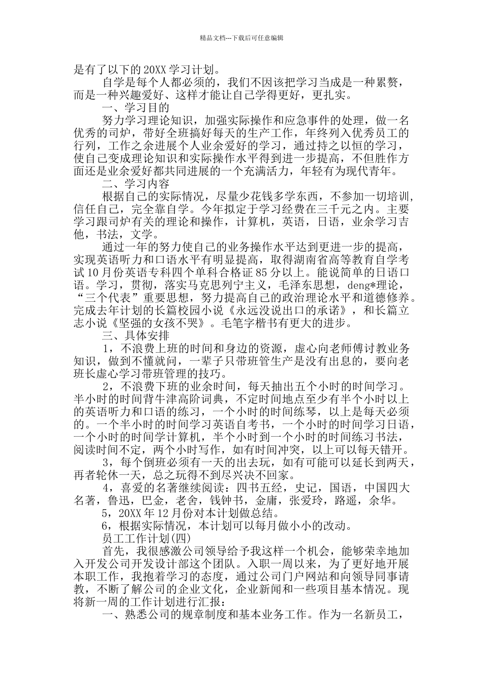 2024公司员工个人工作计划报告大全_第3页