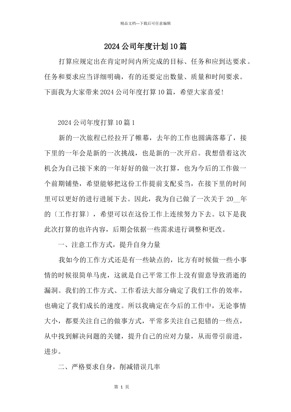 2024公司年度计划10篇_第1页