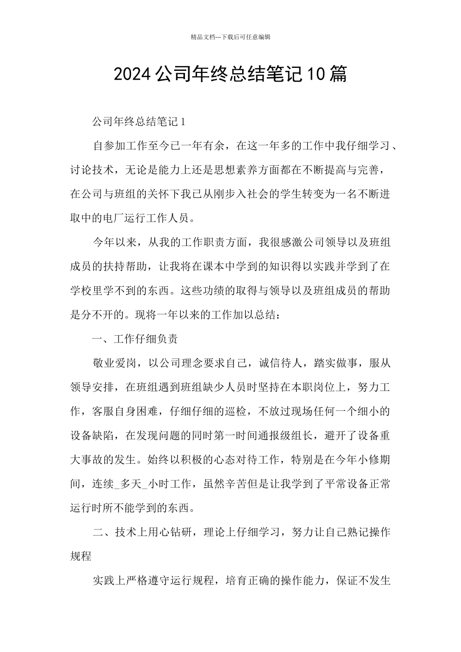 2024公司年终总结笔记10篇_第1页
