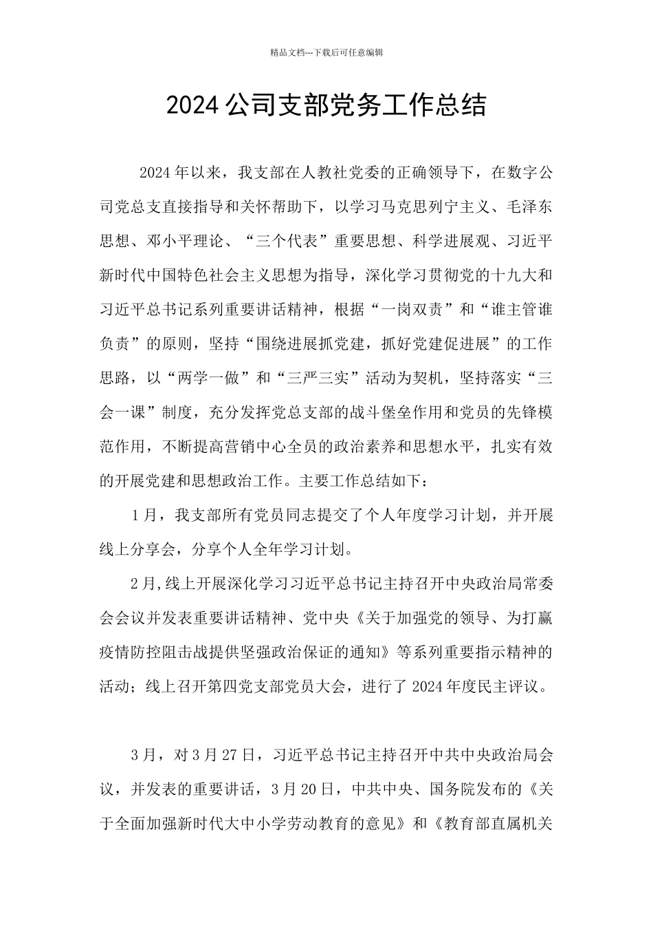 2024公司支部党务工作总结_第1页