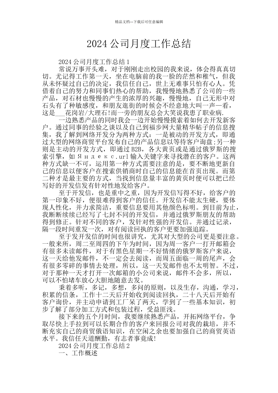 2024公司月度工作总结_第1页