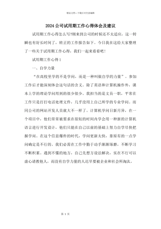 2024公司试用期工作心得体会及建议