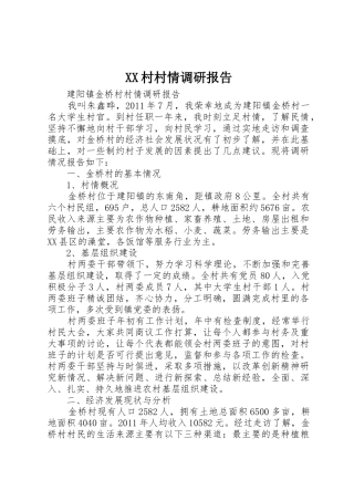 XX村村情调研报告