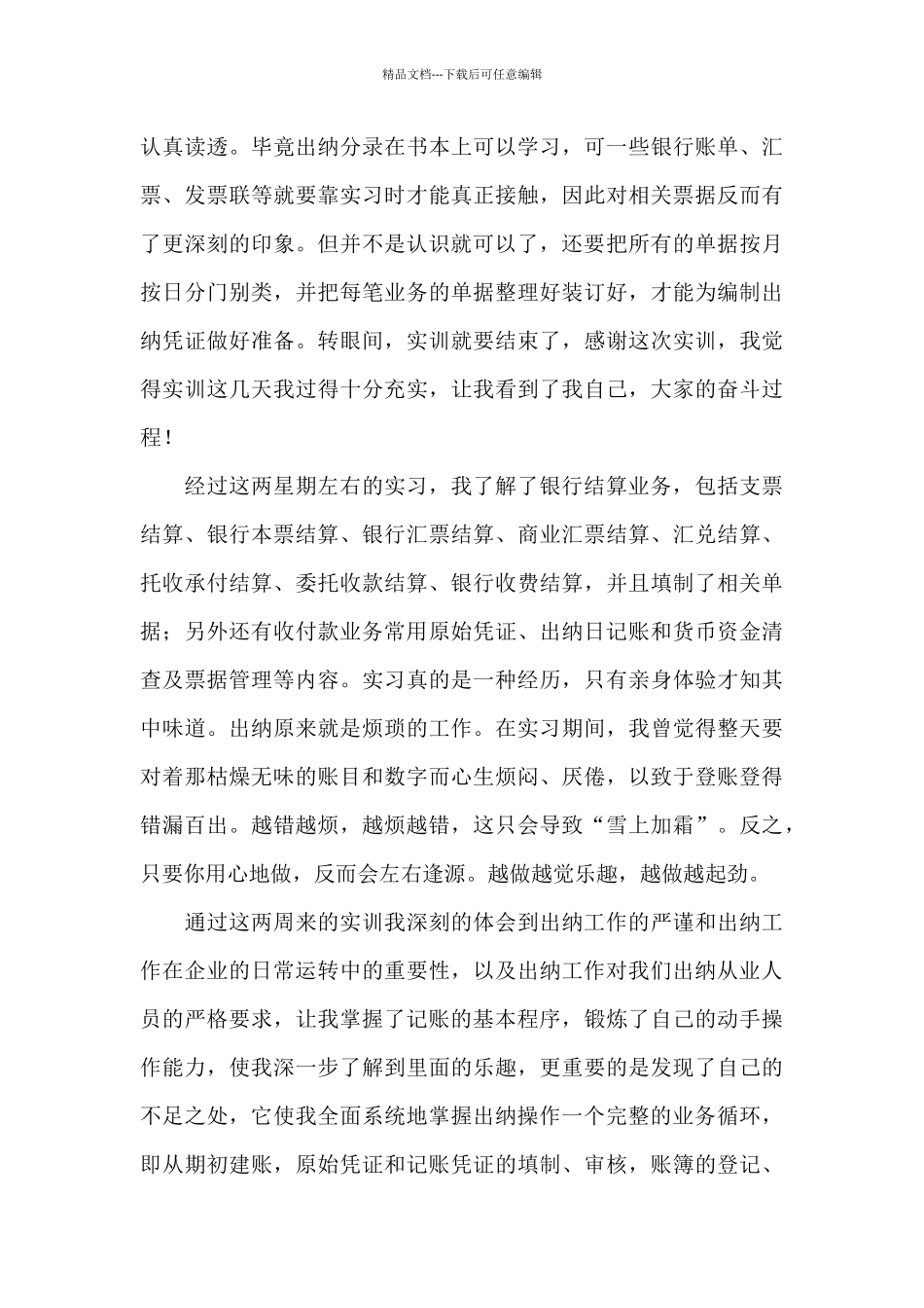 2024关于出纳个人的实习心得汇总_第3页